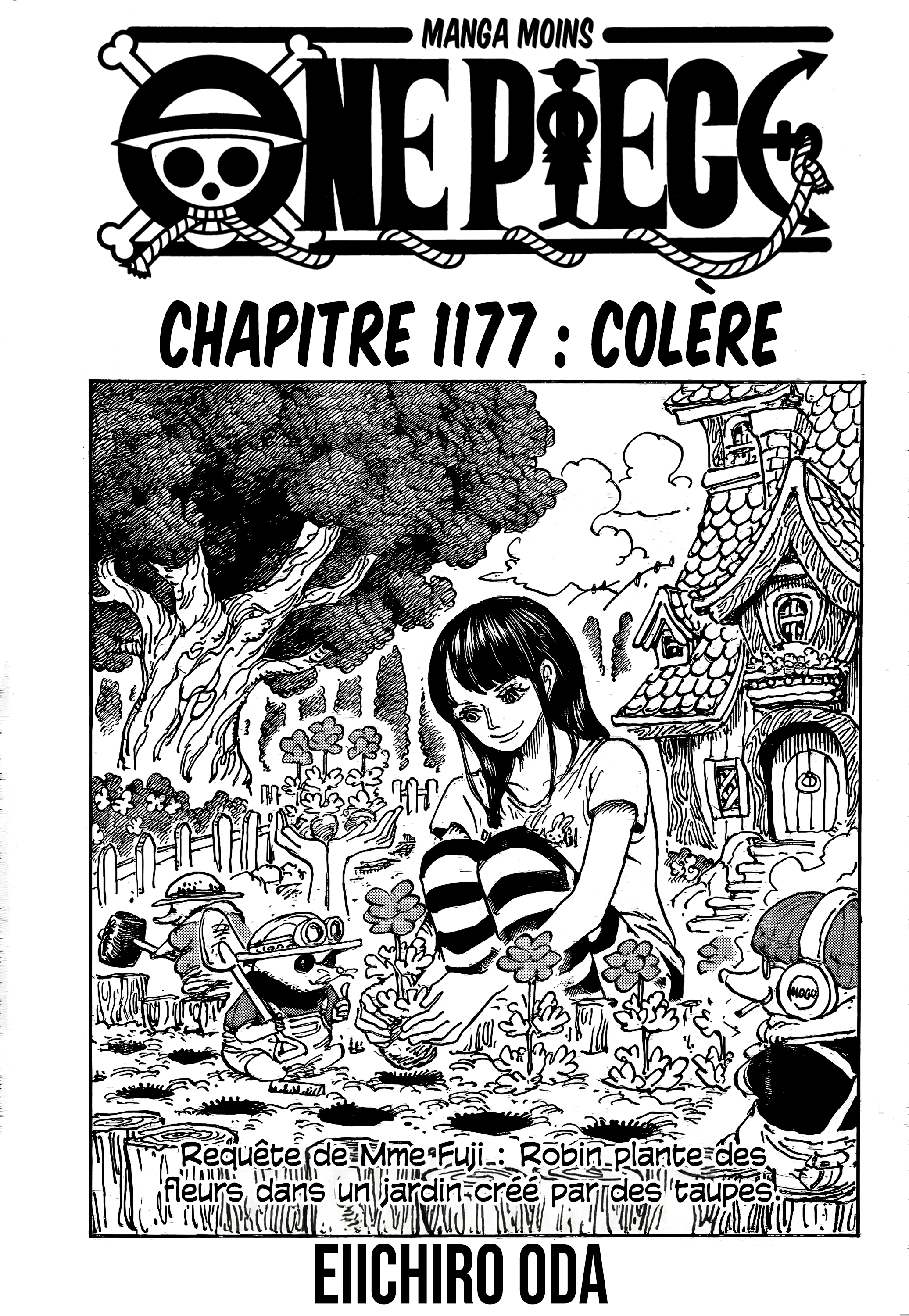       One   Piece Colere Page 1